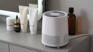 Best Car Air Purifier