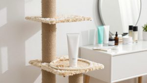 Best Cat Trees for Small Spaces